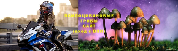 дмт Армянск